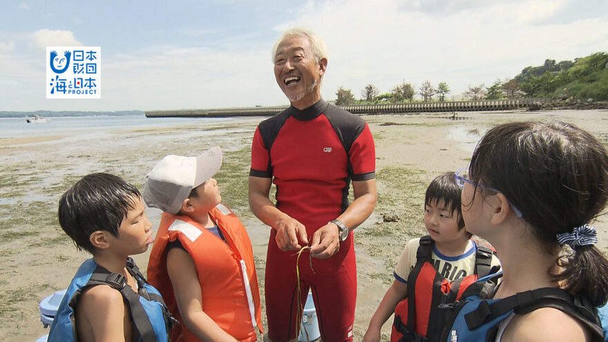 過去の放送「海のゆりかご　アマモ」10月15日