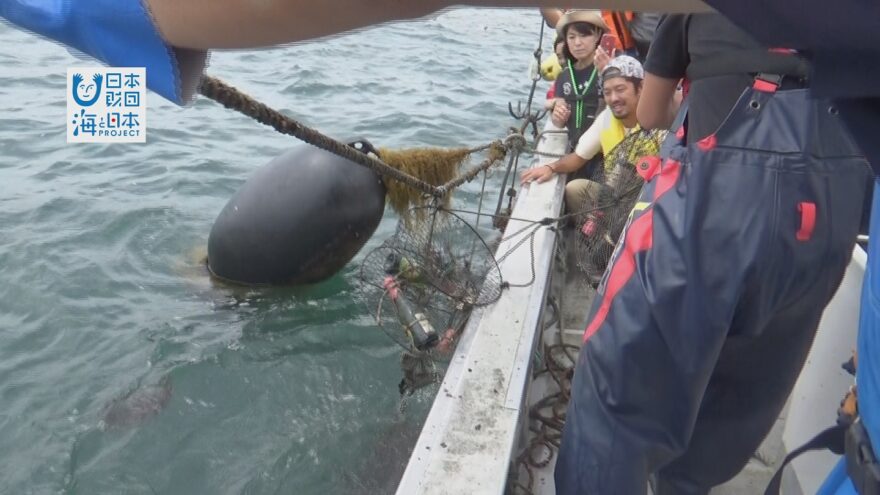 海の底からワイン！！味は？海産物にあうワインづくり