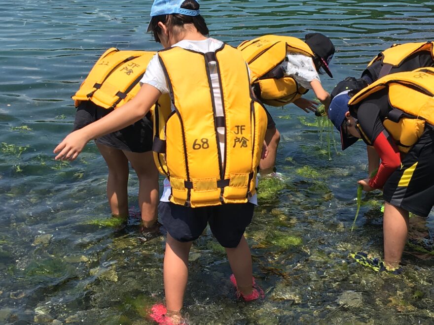 ふるさとの海の豊かさを学ぶ　志津川湾　森里海めぐり隊！初日