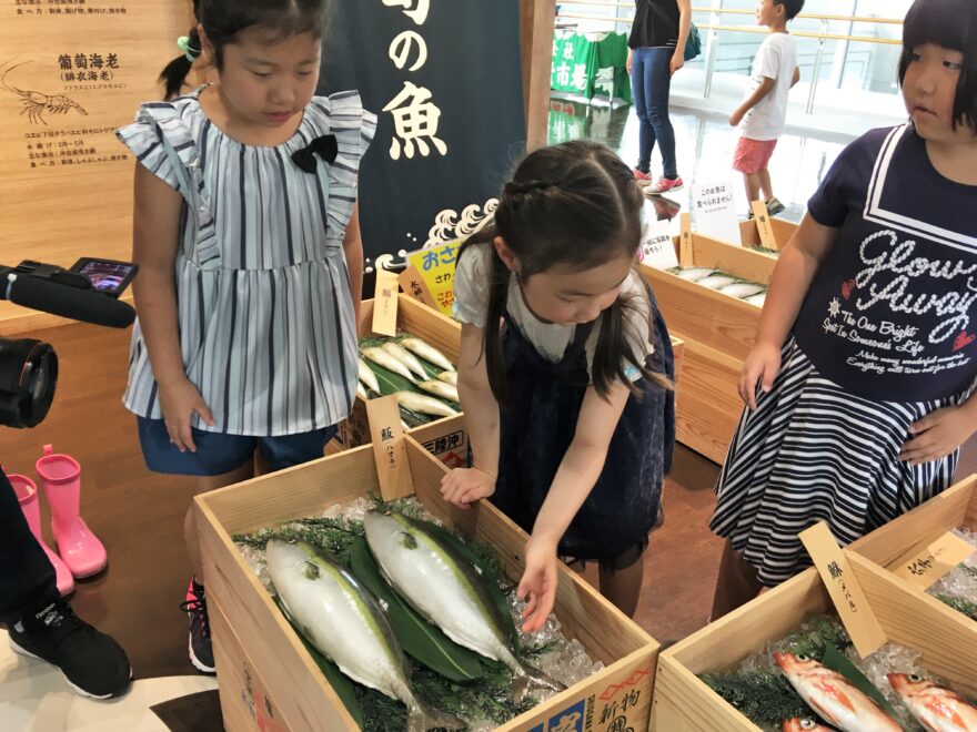 おさかなミュージアムで、塩釜の魚を学ぼう！