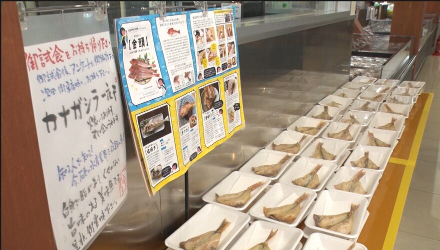 石巻さかな女子部！日本の魚食文化を復活させたい