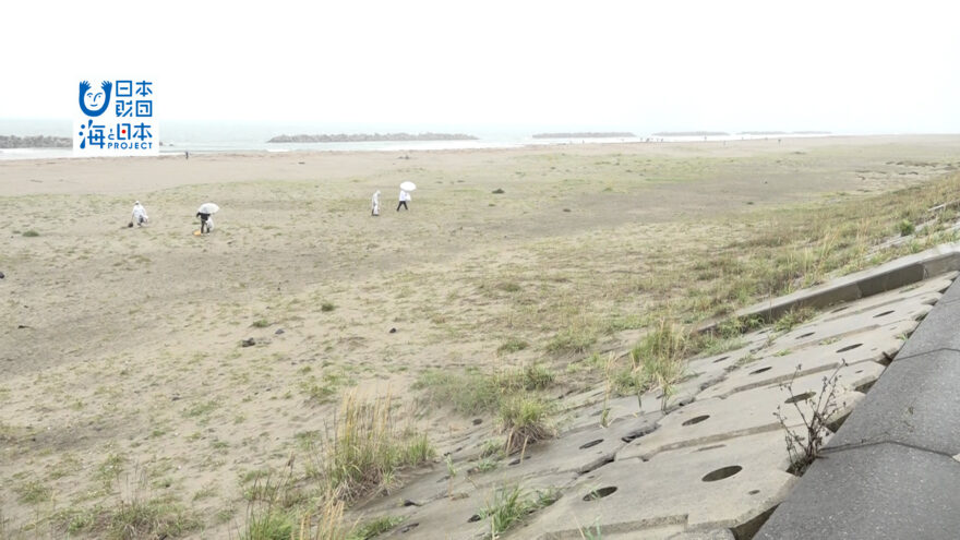 海への想い～深沼ビーチクリーン～