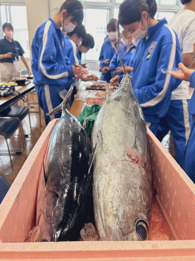 海と日本プロジェクトinみやぎと塩竈市との連携企画がスタートしました！