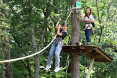 水産の街塩竈に東北初のフォレストアドベンチャー！誕生！