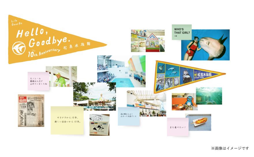 10年目のHello,Goodbye．松島水族館展　