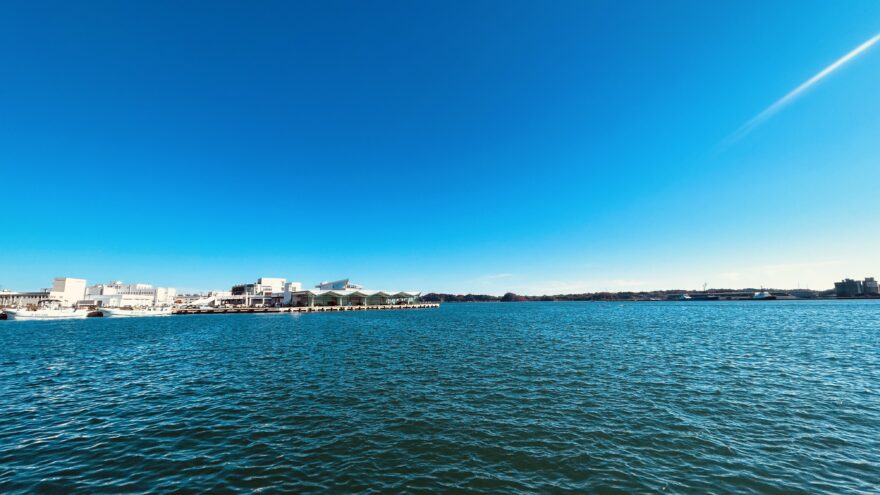 2025年も海と日本プロジェクトinみやぎのレポートをお読みいただきありがとうございました！