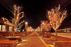 海の街女川のイルミネーション！「おながわ冬のまつり」開催中！