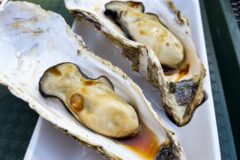 旬の松島の牡蠣を食べに行こう！