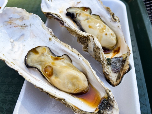 旬の松島の牡蠣を食べに行こう！