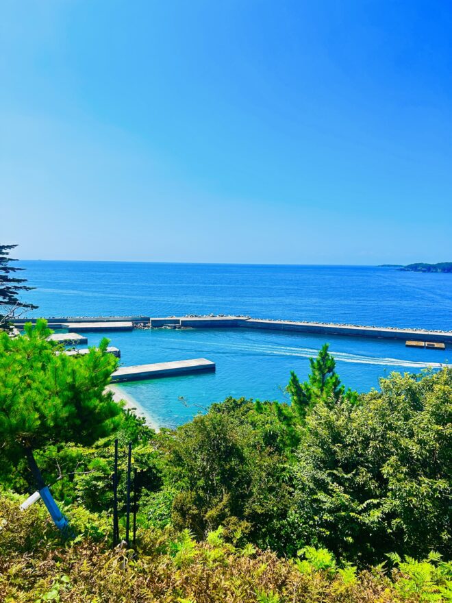 2026年も海と日本プロジェクトinみやぎをよろしくお願いいたします